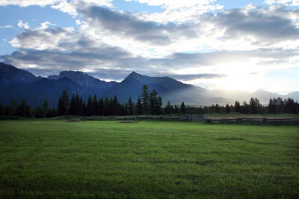 美丽的日出在山上 绿色的草地和森林的初夏清晨 — 图库照片