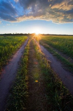 Gün batımında ufka giden yaz manzarası yolu ve mavi gökyüzünde dramatik bulutlar.