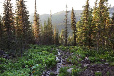 Batı Sayan dağlarının güzel yaz manzarası Ergaki bulutlu bir günde