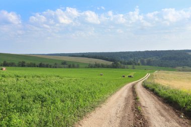 Bulutlu bir günde çayırların ve ormanların arasındaki toprak yol.
