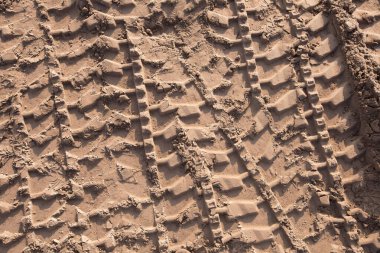 Kumda güneş ışığında makro desenli lastik izleri