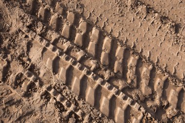 Kumda güneş ışığında makro desenli lastik izleri