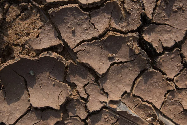 Närbild Textur Sprucken Jord Brun Solljus — Stockfoto