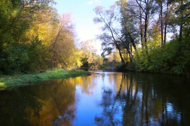 Sonbahar manzarası aynaya benzeyen nehir yüzeyi ve güneşli bir günde kıyıdaki sararmış ağaçlar.