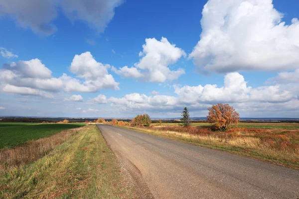 Autumn Landscape Desert Road Horizon Field Beautiful White Clouds Sunny — Stock Photo, Image