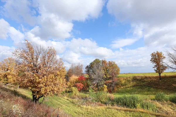 Picturesque Autumn Landscape Beautiful White Clouds Blue Sky Field Trees — Stock Photo, Image