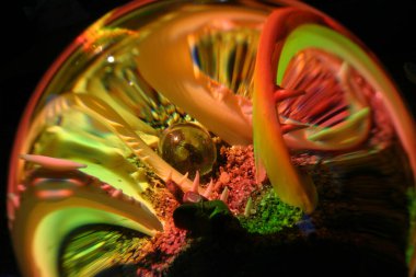 ... kürenin ışık saçan spektral renkleri...