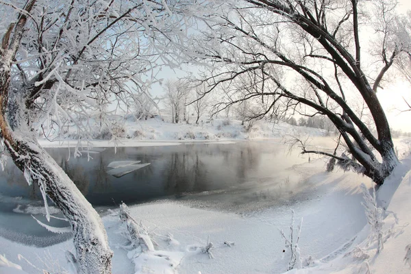 Paisaje Invernal Campos Cubiertos Nieve Árboles Río Mañana Brumosa Temprano — Foto de Stock