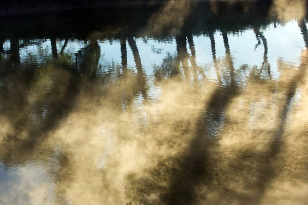 Nyári Táj Fák Felhők Tükröződik Folyóban Ködben Hajnalban — Stock Fotó