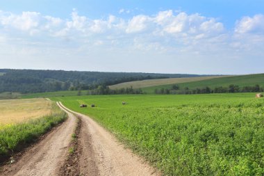 Bulutlu bir günde çayırların ve ormanların arasındaki toprak yol.