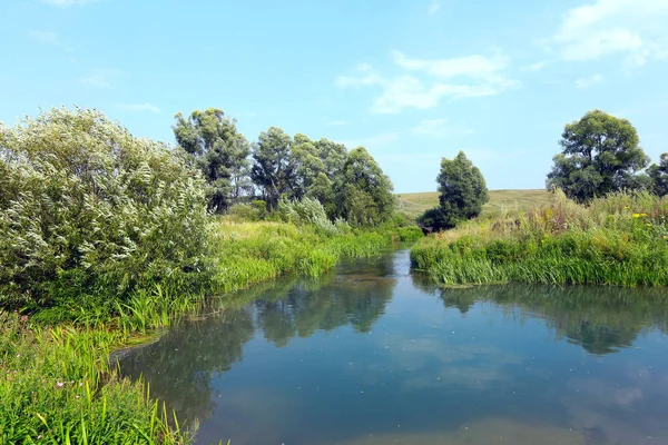 美しい夏の風景鏡の水の中に映る小さな川や木々や空 — ストック写真