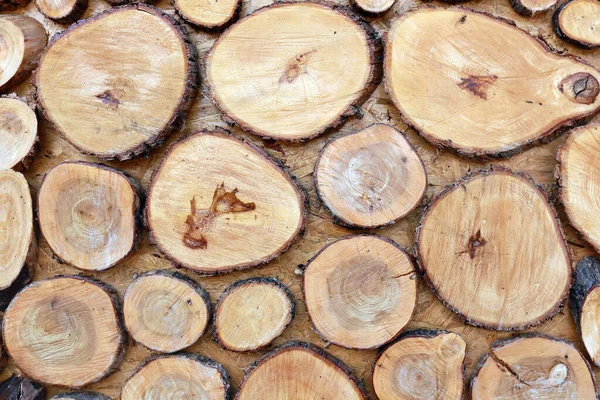 Textura Isolada Macro Canecas Árvore Decoração Parede Fragmento — Fotografia de Stock