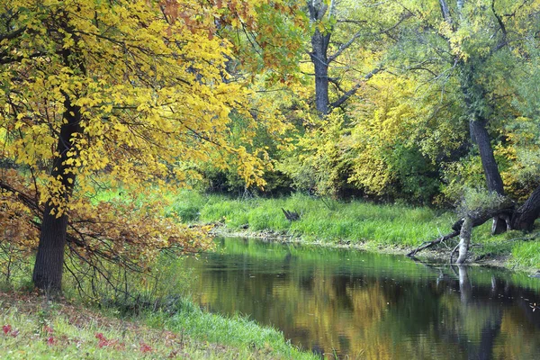 구름낀 강가의 갈색을 참나무 이었다 — 스톡 사진
