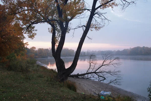 Γραφικό Φθινοπωρινό Τοπίο Ροζ Ηλιοβασίλεμα Στο Ποτάμι Και Δέντρα Στην — Φωτογραφία Αρχείου