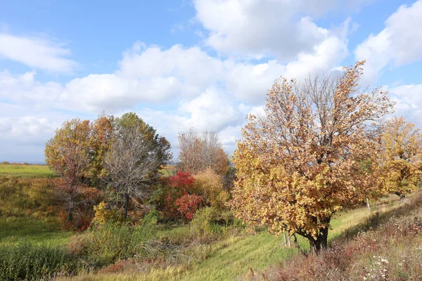 Malerische Herbstlandschaft Schöne Weiße Wolken Blauen Himmel Über Einem Feld — Stockfoto