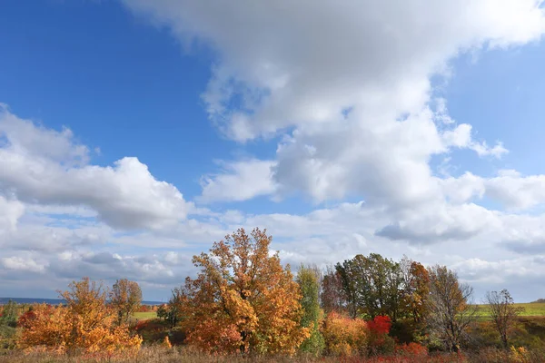Pintoresco Paisaje Otoñal Hermosas Nubes Blancas Cielo Azul Sobre Campo —  Fotos de Stock