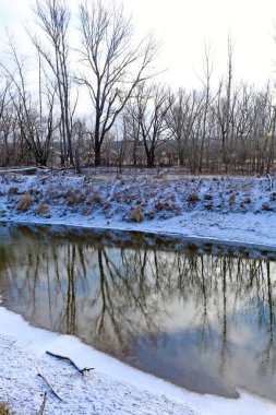 Güneşli bir kış günü, dondurucu nehrin ve yapraksız meşe ağaçlarının resimsel manzarası.