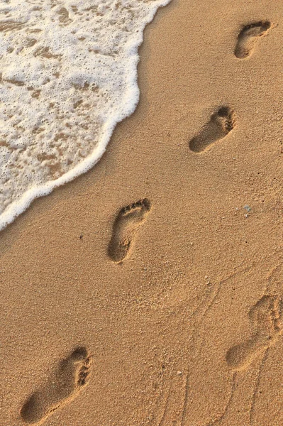 人类脚印在海滨湿沙中的特写 — 图库照片