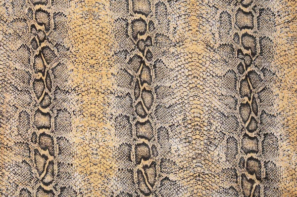 Macro Texture Tissue Skin Snake Studio — Stock Photo, Image