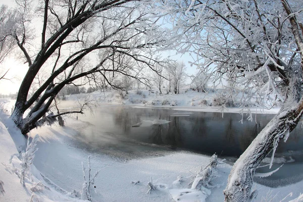 Winter Landscape Snow Covered Fields Trees River Early Misty Morning — Stock Photo, Image