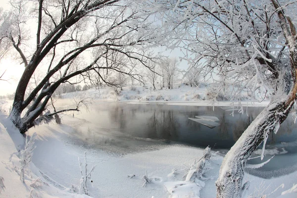 Winter Landscape Snow Covered Fields Trees River Early Misty Morning — Stock Photo, Image