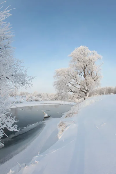 Зимний Пейзаж Заснеженных Полей Деревьев Реки Рано Утром — стоковое фото