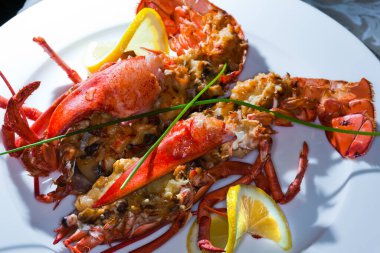 Limonlu makro ıstakoz. Beyaz bir tabakla süslenmiş. Arka planda karanlık bir stüdyoda.