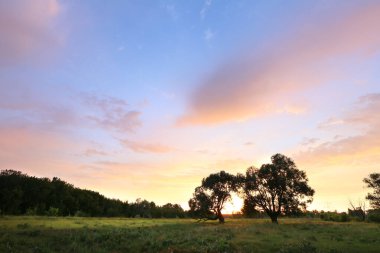 Yazın güzel manzarası Ufuktaki çayırların ve meşe ormanlarının üzerinde parlak günbatımı