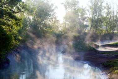 Yaz manzarası, şafak vakti nehrin yanındaki meşe korusunda yoğun sis.