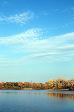 Güneşli bir günde, renkli yaprakları ve nehri olan güzel bir sonbahar ormanı.