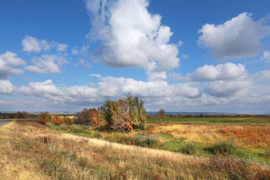 Resmedilmeye değer sonbahar manzarası mavi gökyüzünde güzel beyaz bulutlar ve güneşli bir günde yaprakları renkli ağaçlar.