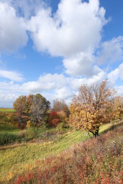 Resmedilmeye değer sonbahar manzarası mavi gökyüzünde güzel beyaz bulutlar ve güneşli bir günde yaprakları renkli ağaçlar.