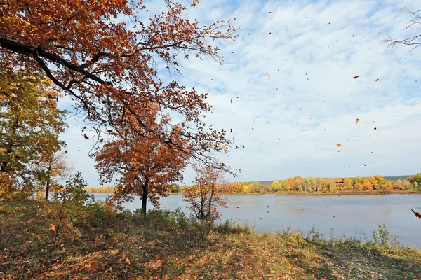 Осенний Пейзажный Листопад Разноцветных Деревьев Реки — стоковое фото