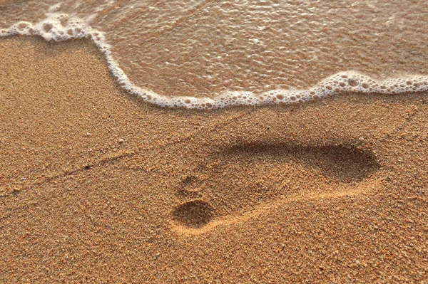 人类脚印在海滨湿沙中的特写 — 图库照片