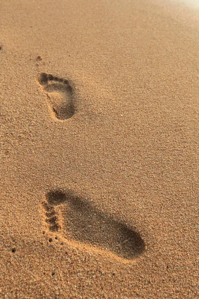 Gros Plan Des Empreintes Humaines Dans Sable Mouillé Bord Mer — Photo