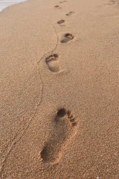 人类脚印在海滨湿沙中的特写 — 图库照片