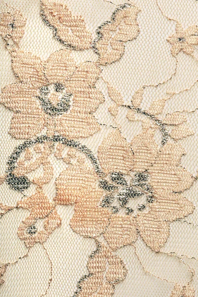 Macro Texture Beige Lace Embroidery Studio — Stock Photo, Image