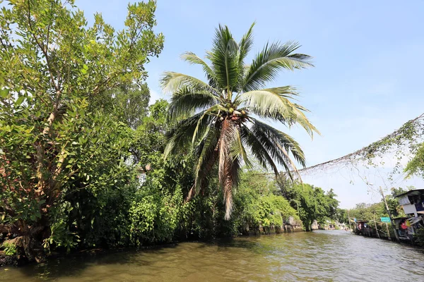 Bangkok Thaïlande Décembre 2014 Navigation Sur Fleuve Chao Phraya Décembre — Photo