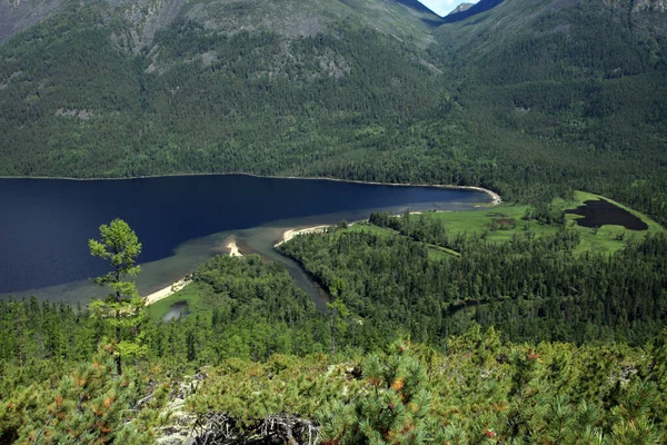 Paisagem Verão Lago Frolikha Nas Montanhas Baikal Pinhal Dia Ensolarado — Fotografia de Stock