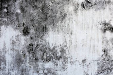 Eski beyaz-gri duvarın kalıplı makro doku parçası 