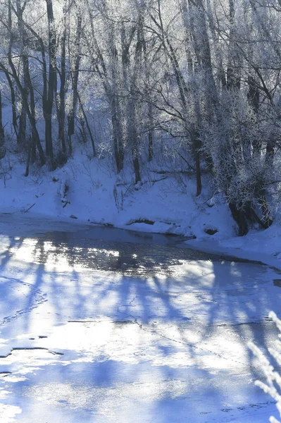 冬の風景川の日当たりの良い霜の朝 青い空と海岸の霜の木 — ストック写真