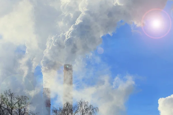 Industriellt Landskap Rör Anläggning Med Vit Rök Och Toppar Träd — Stockfoto