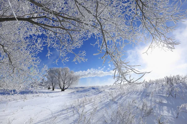 晴朗的冬日 美丽的山水在白雪覆盖的田野里结霜 — 图库照片