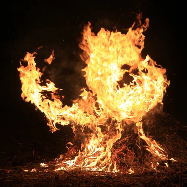 Burning Grass Black Background — Stock Photo, Image