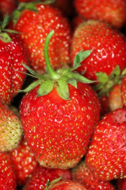 Güneşli bir günde, yaz bahçesinde olgunlaşmış çilek dokuları.