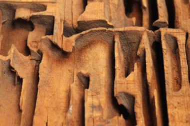 Beyaz stüdyo arka planında tahta karıncaları kesen yakın çekim bloğu.