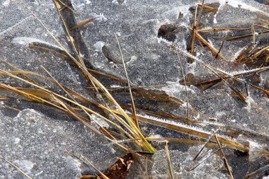 buz ve karın makro tuhaf dokusu