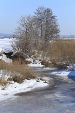 Baharın başlarında, ormanın yakınındaki donmuş nehir manzarası.