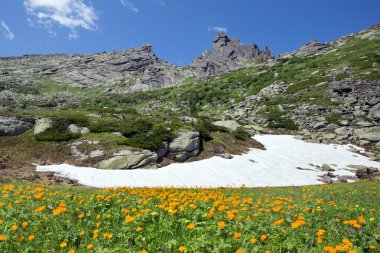 Turuncu küre-çiçek