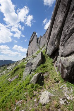Batı Sayan dağda kaplumbağa